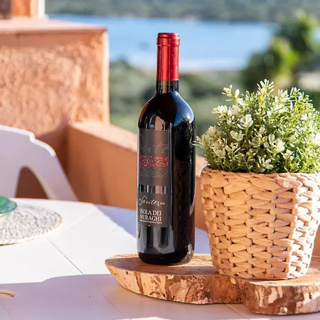 Csb - 11-a - Baia De Bahas By Interhome شقة غولفو أرانتْشي